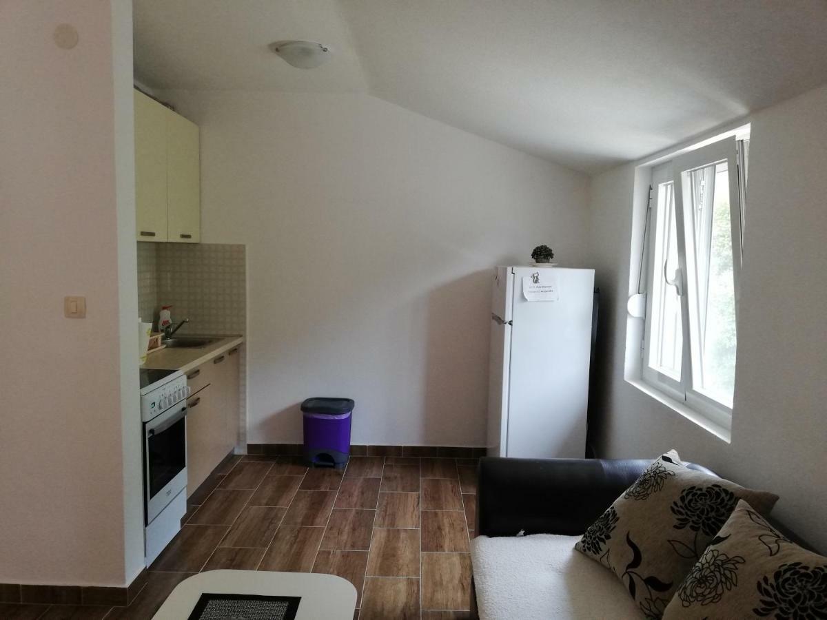 Apartment Ruza *