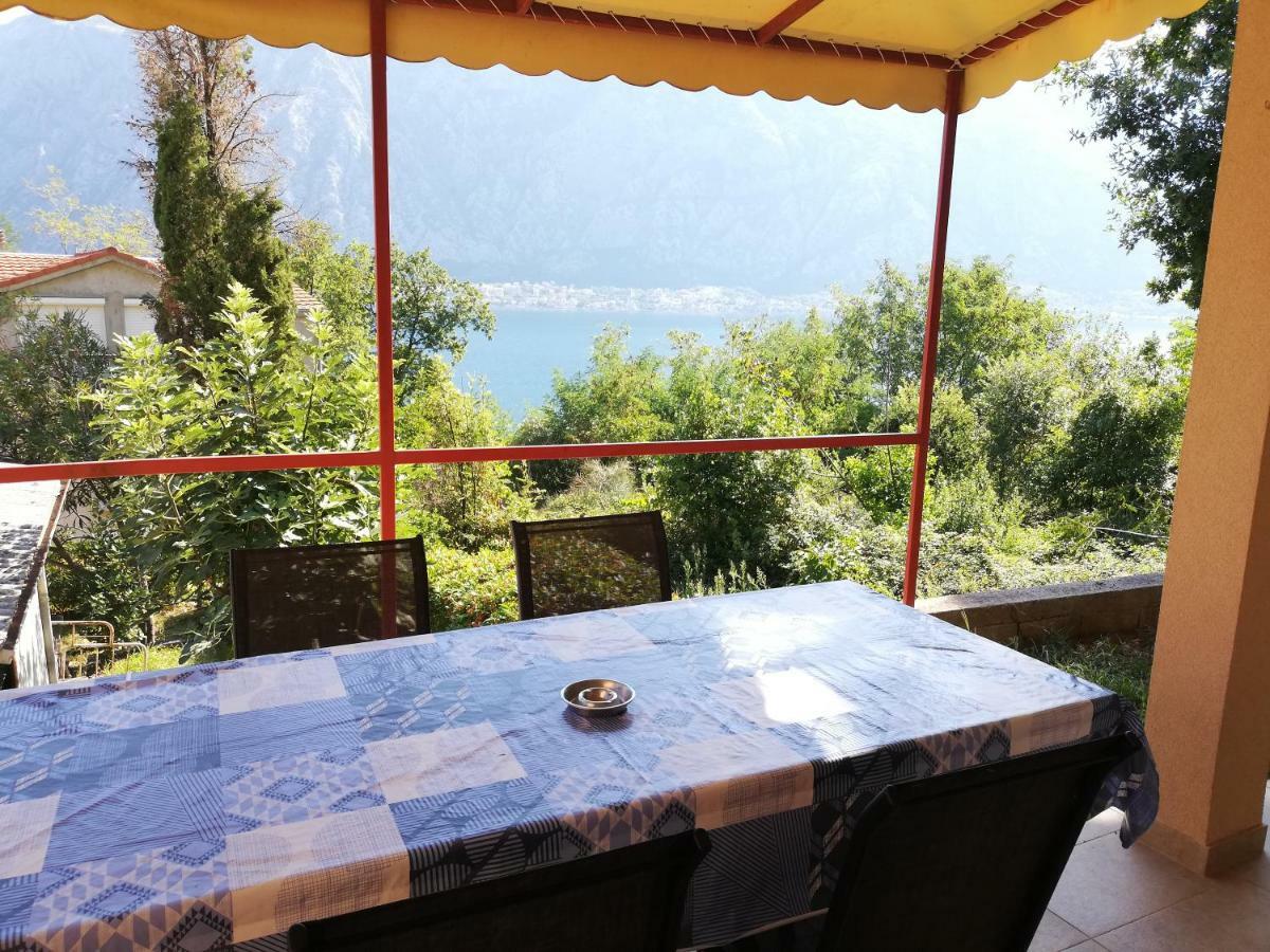 Ruza Kotor